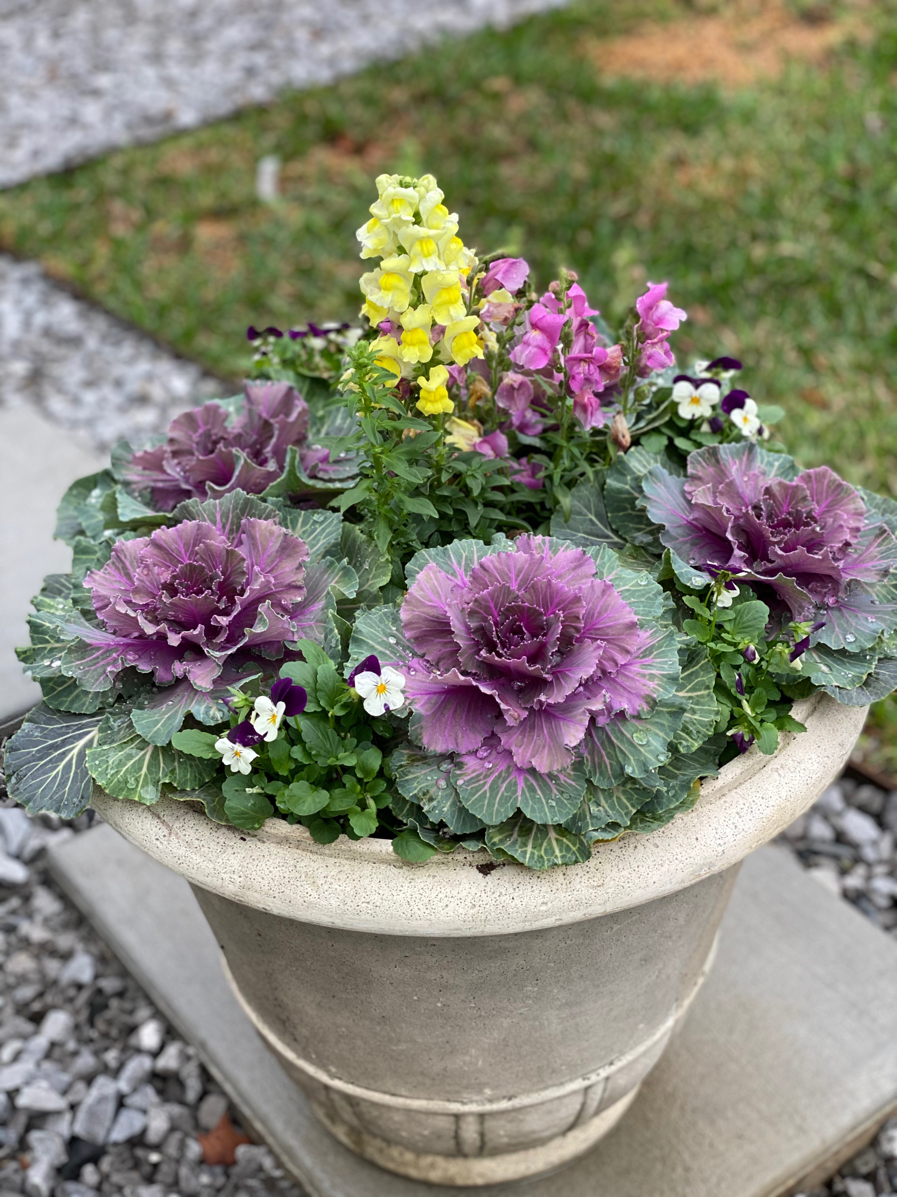 container plant displayJPG